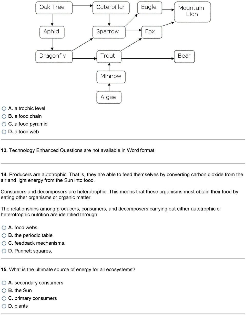 Producers And Consumers Worksheet - Worksheet List With Producers And Consumers Worksheet