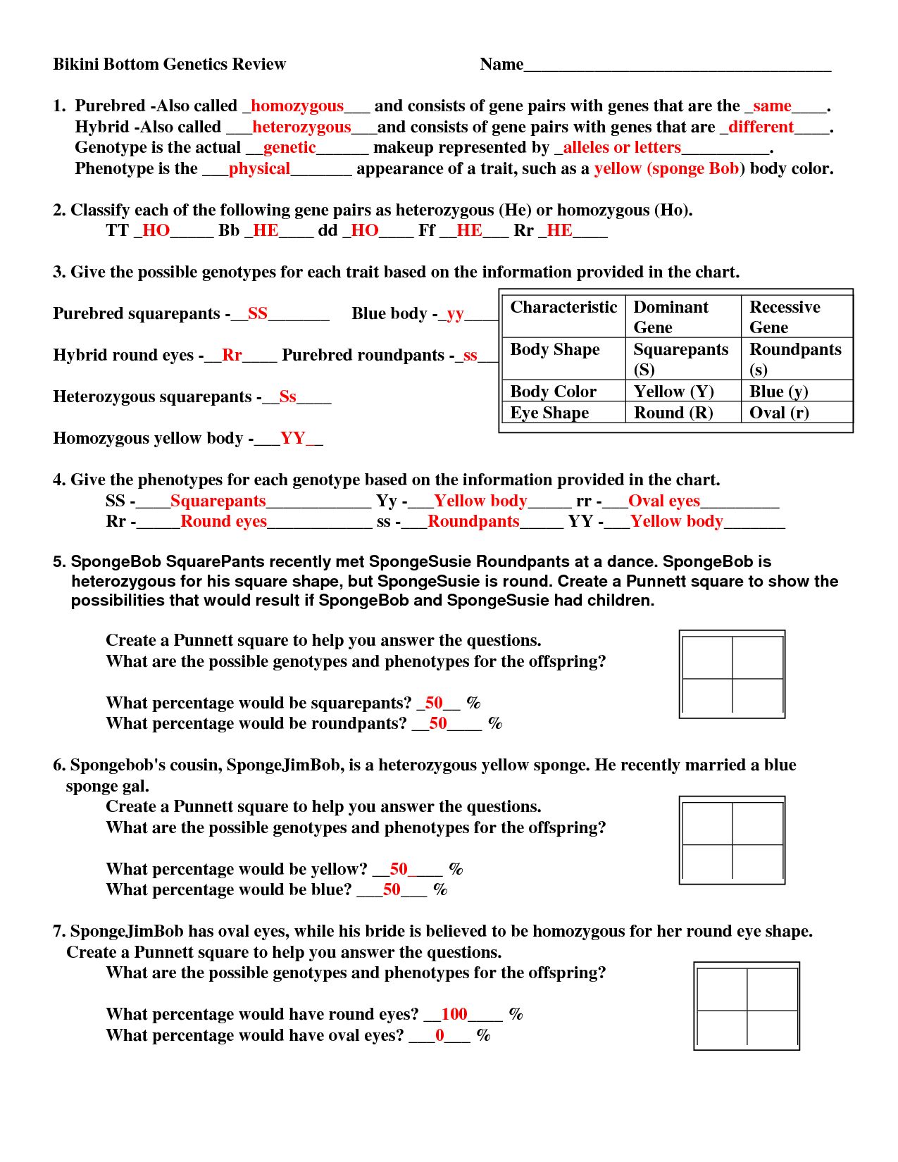 Animal Classification Worksheet Pdf