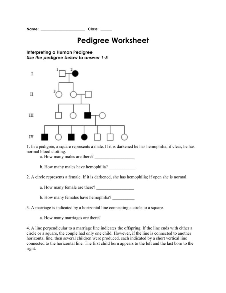 Blood Type And Inheritance Worksheet Answer Key ...