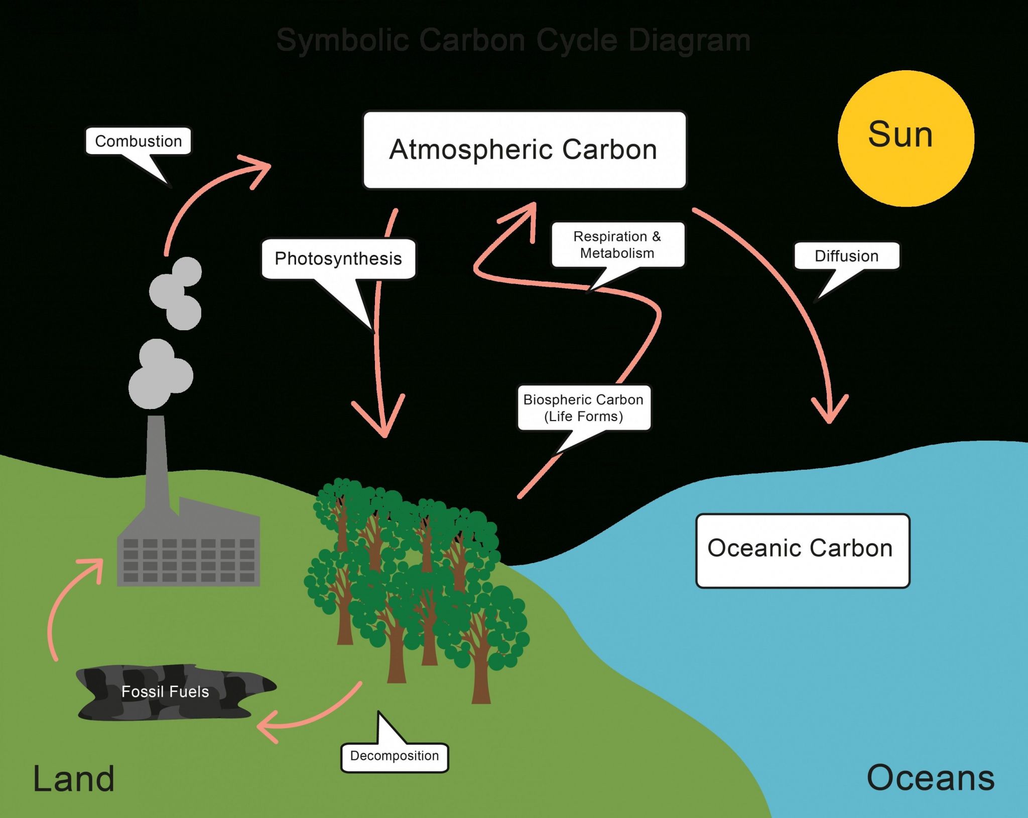 Carbon Cycle Worksheet Answers