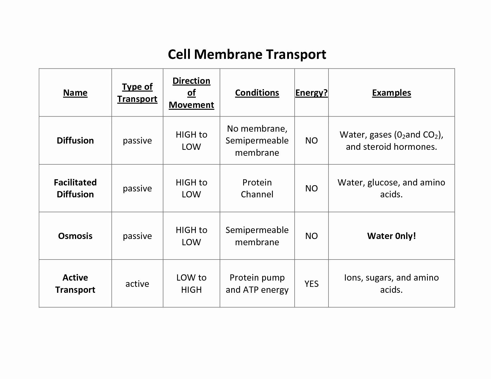 Cell Membrane Coloring Worksheet Answer Key Cell Transport Review Worksheet Up Ing Cell Membrane Coloring
