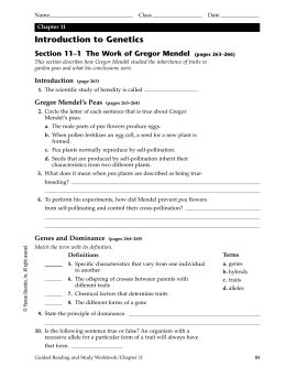 Chapter 11 Introduction to Genetics Worksheet Answers