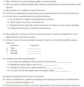 Chapter 7 Cell Structure and Function Worksheet Answers as Well as Biology Chapter 7 Cell Structure and Function Worksheet Answers