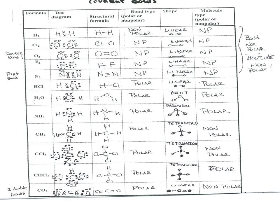 Momentum And Collisions Worksheet Answers