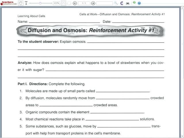 Active And Passive Transport Worksheet