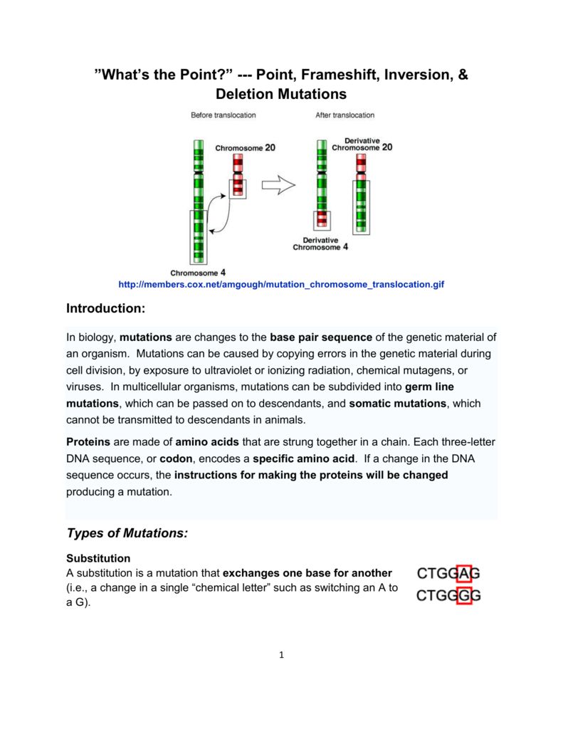 Dna Mutations Practice Worksheet Answer