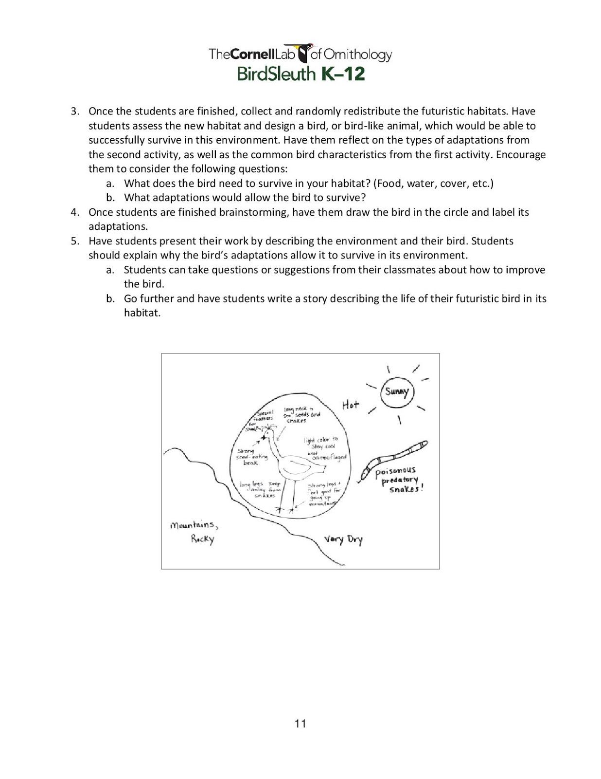 Galapagos Island Finches Worksheet