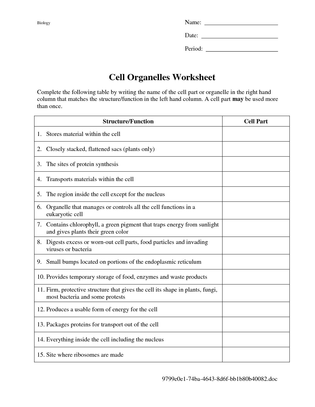 cell membrane worksheet Google Search
