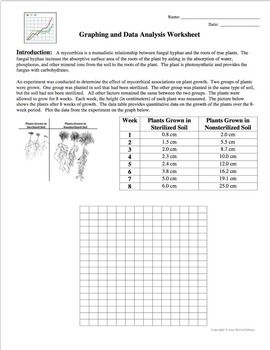 Graphing and Data Analysis Worksheet Answers