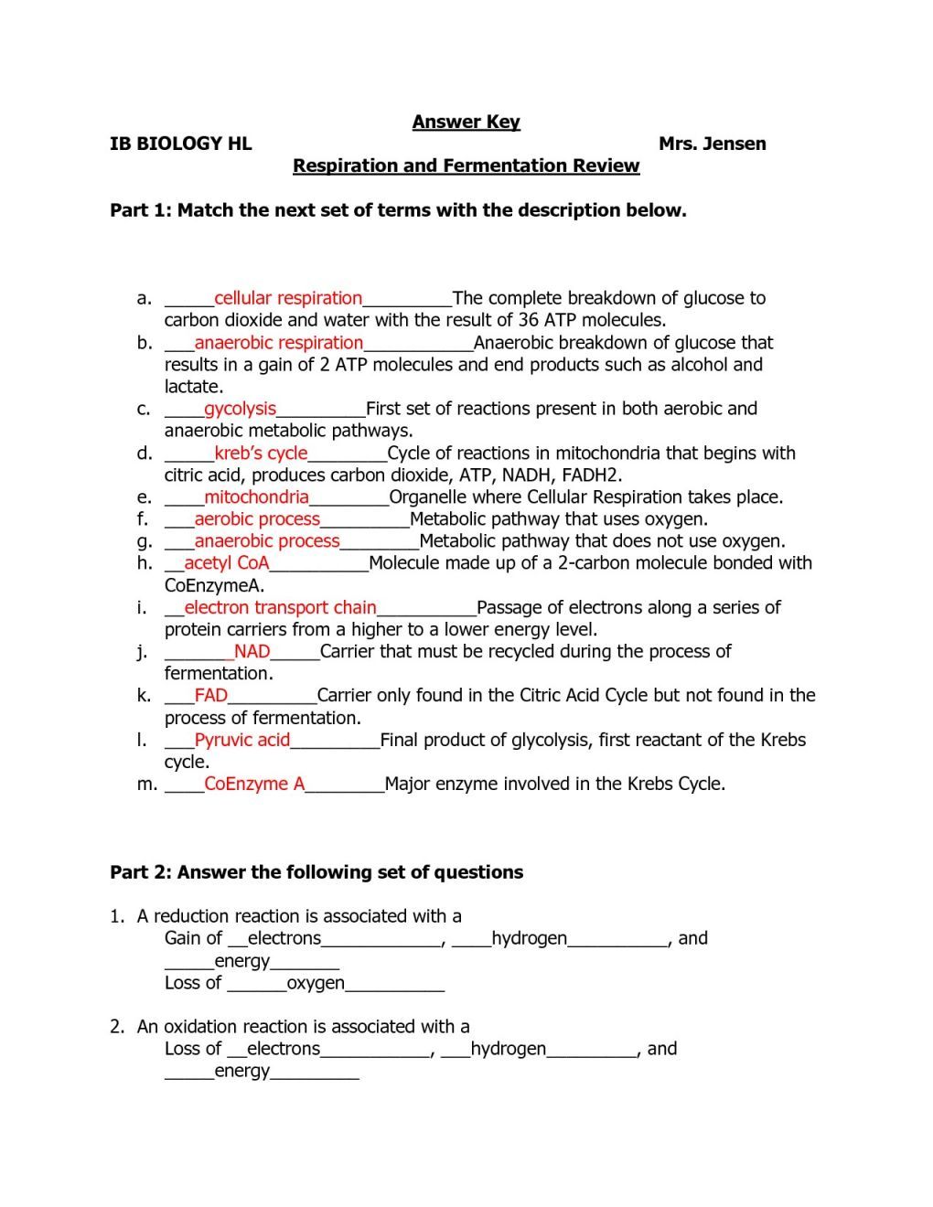 Organic Molecules Worksheet Answer Key