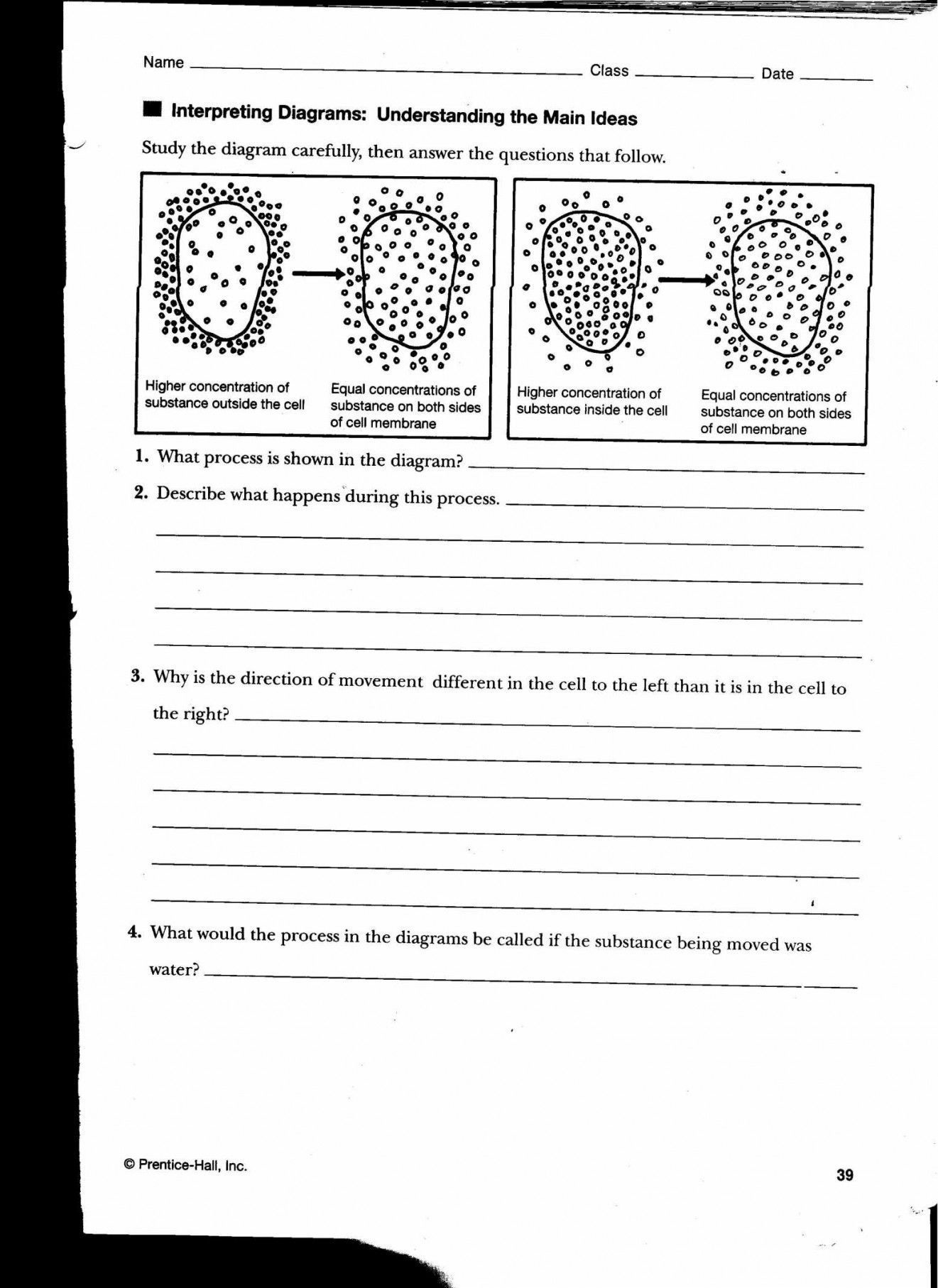 Osmosis And Tonicity Worksheet