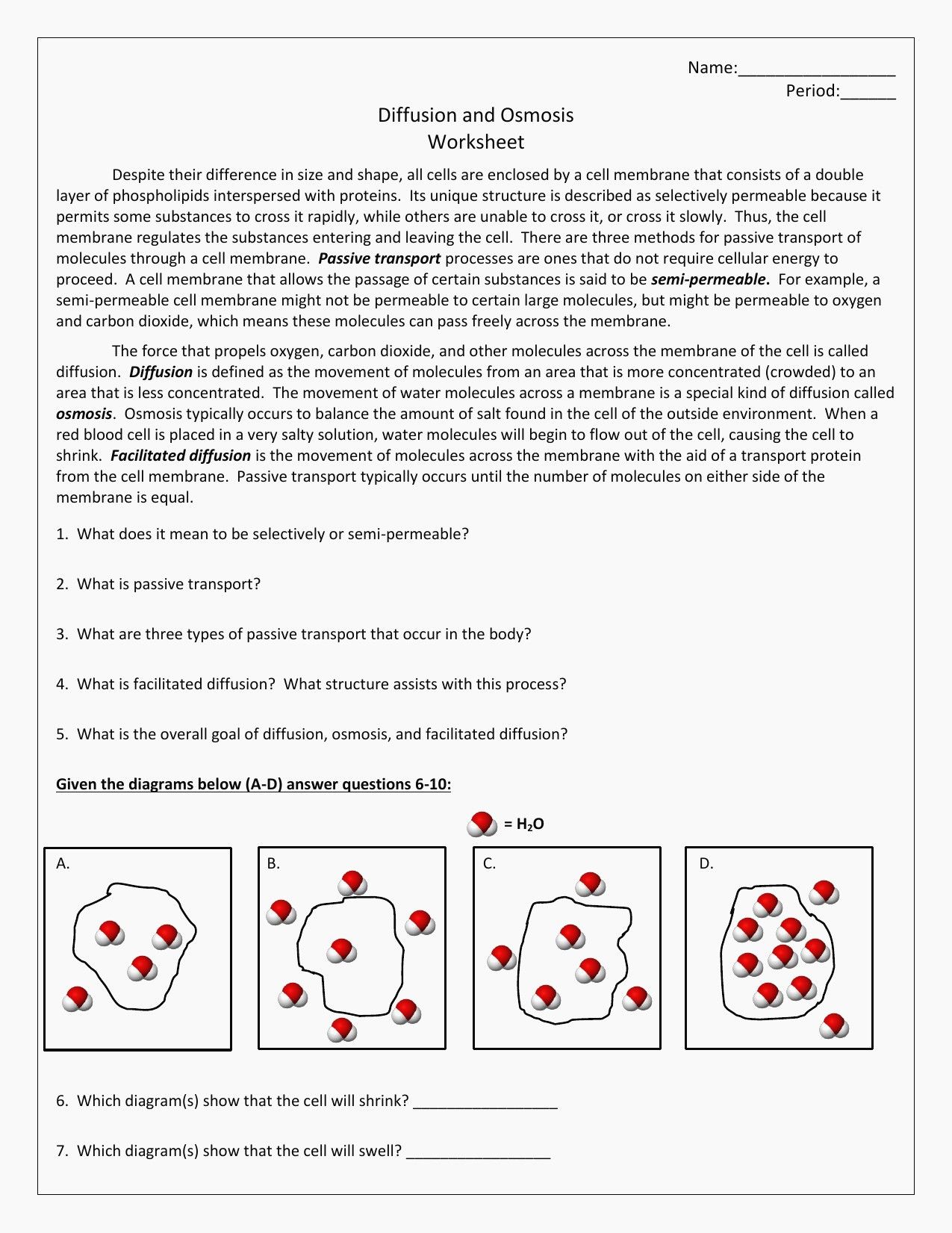 venn diagram comparing osmosis and diffusion - Banya For Transport In Cells Worksheet