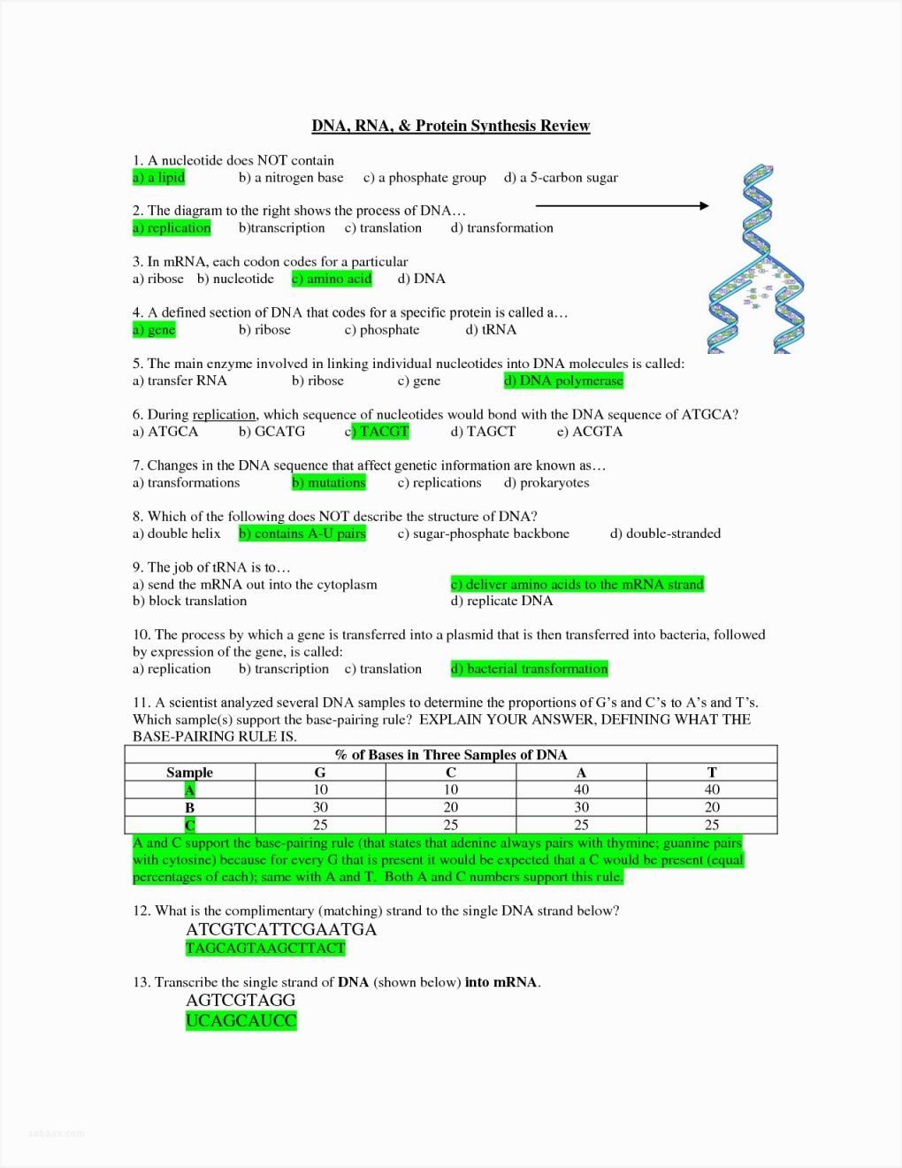 Protein Synthesis Worksheet Answer Key Part B