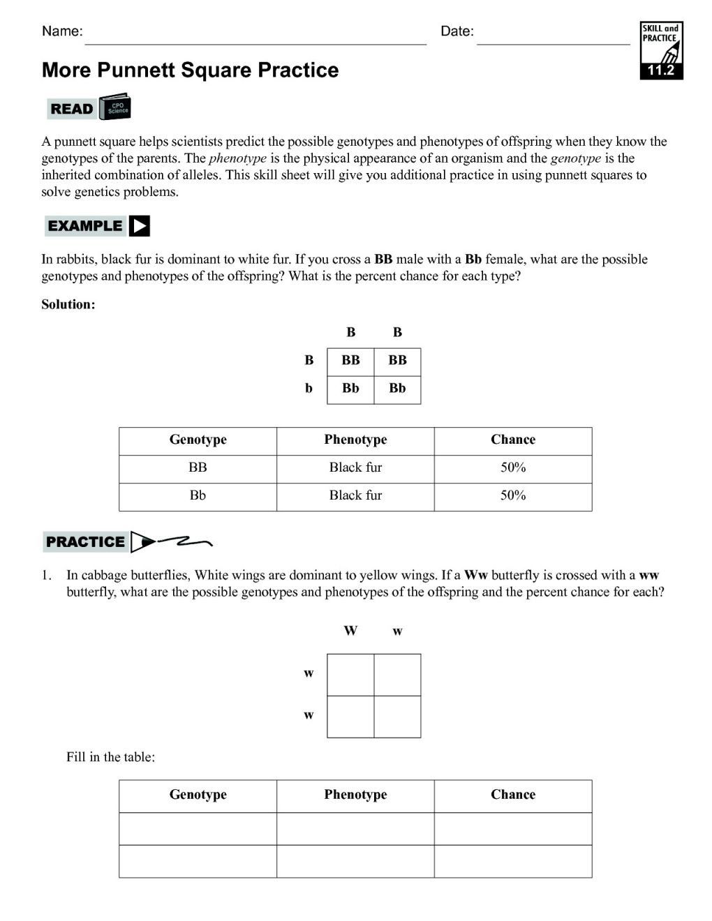 Punnett Square Worksheet Answer Key In Genetics Practice Problems Worksheet Answers