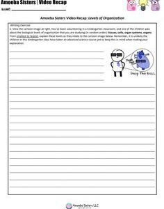 Coulomb's Law Worksheet Answers Physics Classroom