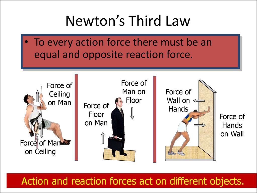 The Laws Of Motion Worksheet For Newton039s 3rd Law Worksheet